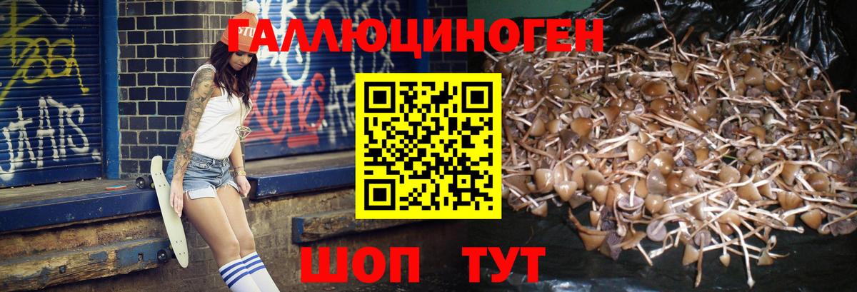 Галлюциногенные грибы прущие грибы  Вход с VPN  Ковров  Галлюциногенные грибы мухоморы 